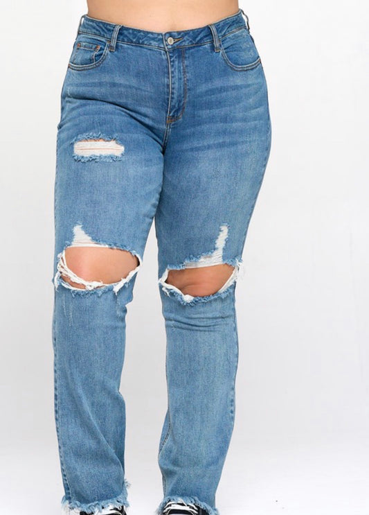 Adriana High Rise Jeans (Plus Size)